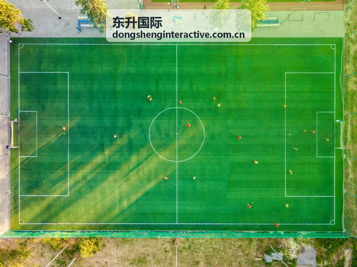 东升国际科技企业商业服务方案